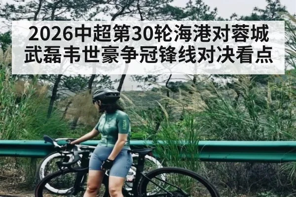 2026中超第30轮海港对蓉城武磊韦世豪争冠锋线对决看点